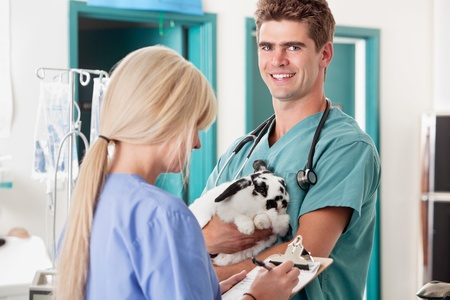 Portrait of veterinarian holding rabbit and his coworker taking reportの写真素材