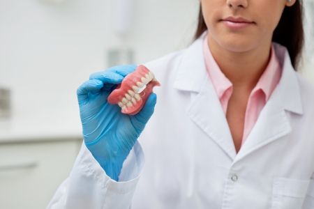 Female dentist holding dental mold at clinicの写真素材