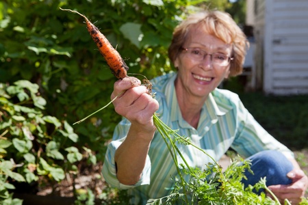 Portrait of smiling senior woman holding carrotの写真素材
