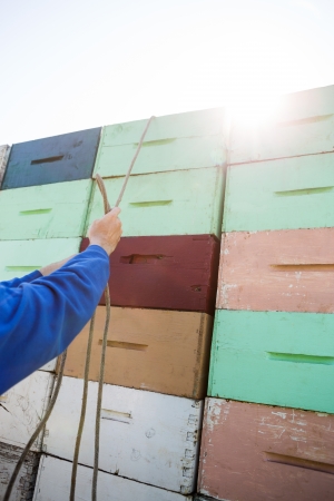 Cropped image of beekeeper tying rope on stacked honeycomb cratesの写真素材
