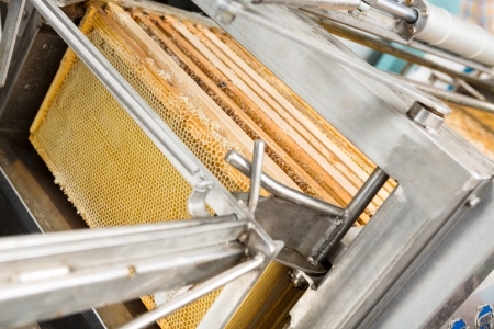 Closeup of honey extraction plant in beekeeping factoryの写真素材