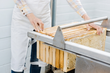 Midsection of female beekeeper collecting honeycombs from machine at beekeeping factory