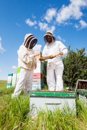 Beekeepers in protective clothing working together at apiaryの写真素材