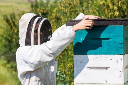 Side view of beekeeper placing fume board on hive