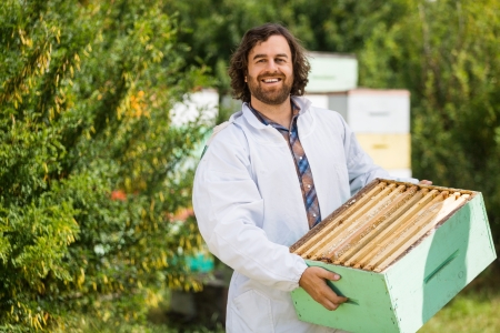 Portrait of happy male beekeeper carrying crate full of honeycombs at apiary
