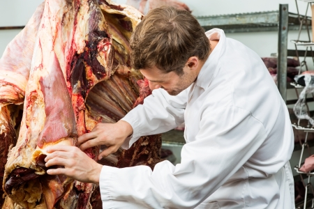 Young male butcher inspecting side of beef in cooler
