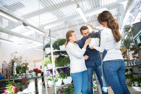 Female florist guiding couple in buying purple flower plant at storeの写真素材