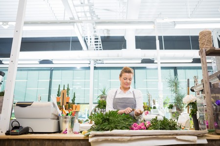 Female florist cutting stem on rose at counter in flower shopの写真素材