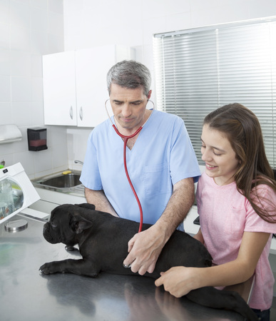 Mature male vet examining French Bulldog with stethoscope while standing by girl in clinicの写真素材