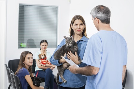 Mid adult woman carrying cat while looking at male nurse in clinicの写真素材