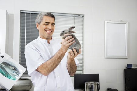 Confident mature male vet holding rabbit in hospitalの写真素材