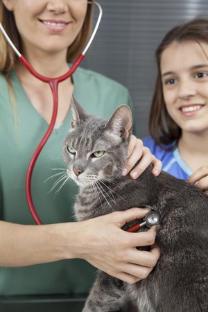 Midsection of female doctor examining cat with stethoscope by smiling girl in clinicの写真素材