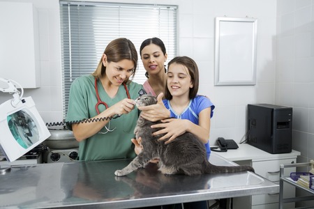 Mother and daughter holding gray cat while female vet examining her ear with otoscope in clinicの写真素材