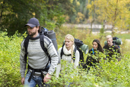 Hiking Friends Walking Amidst Plants In Forestの写真素材