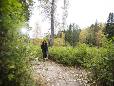 Young Female Hiker Walking On Forest Trailの写真素材