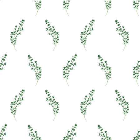 Seamless Pattern with Thyme Sprigs on White Backgroundのイラスト素材