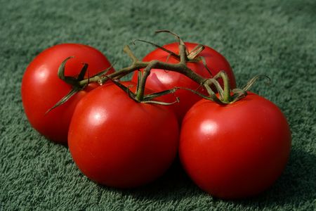 tomatoes against a green backgroundの写真素材