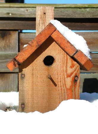 blue tit house covered in snowの写真素材