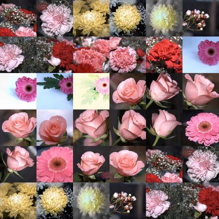 grid of cut flowersの写真素材