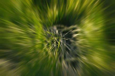 green abstractの写真素材