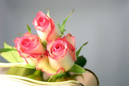 roses on a tin of chocolates over a grey backgroundの写真素材