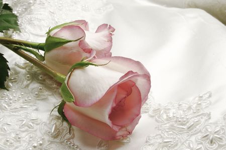 pink roses and white wedding gownの写真素材
