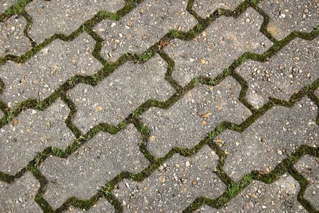 background of paving blocks with moss growing in betweenの写真素材