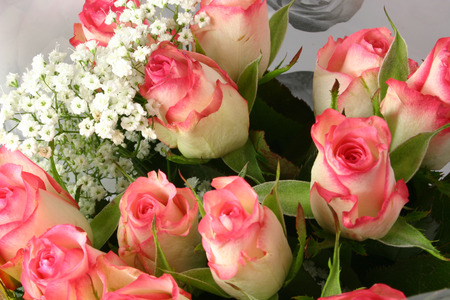 bouquet of roses and white gypsophilia better known as sbreathの写真素材