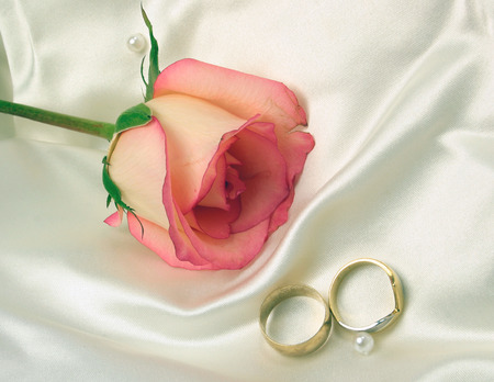 wedding rings and a rose on satin bridal gownの写真素材