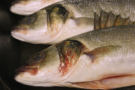 gutted fresh sea bass
