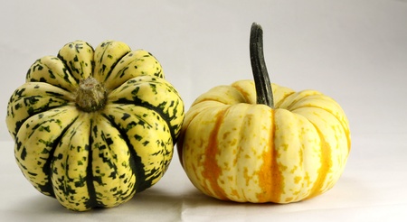 Autumn has arrived and its the time for gourds and pumpkinsの写真素材