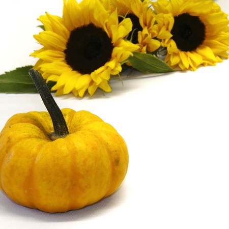 vbrant yellow sunflowersの写真素材