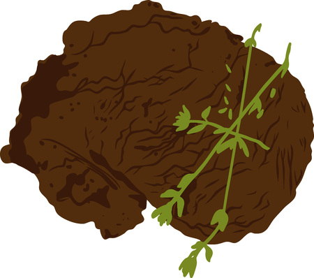 grilled beef steak with herbs  Vector illustration.のイラスト素材