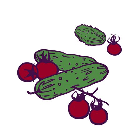 cherry tomatoes and cucumbers illustration. Hand-drawn in cartoon style. Colored artwork isolated on white background, in vector.のイラスト素材