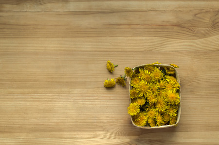Dandelions on a wooden backgroundの写真素材