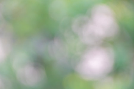 Defocused abstract background, Green bokeh on nature defocus art abstract blur background.の写真素材