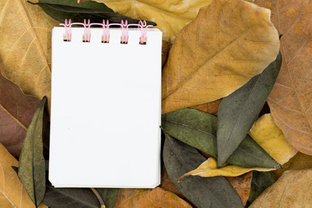 School notebook with pencil on dry leaves backgroundの写真素材