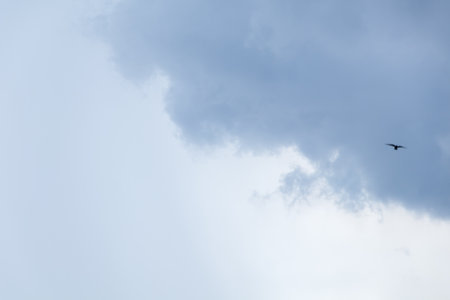 Blue sky background with tiny clouds, Nature cloud blue sky background, Blue Sky with Fluffy White Clouds on a Sunny Summer Dayの写真素材