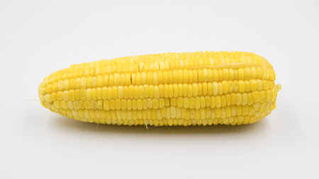 ear of ripe corn on white background, Seeds of sweet corn background.の写真素材