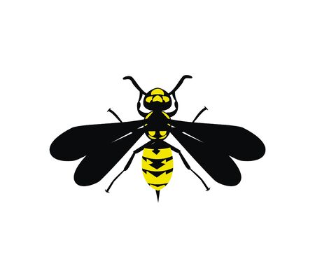 Yellow jacket design vector eps formatのイラスト素材