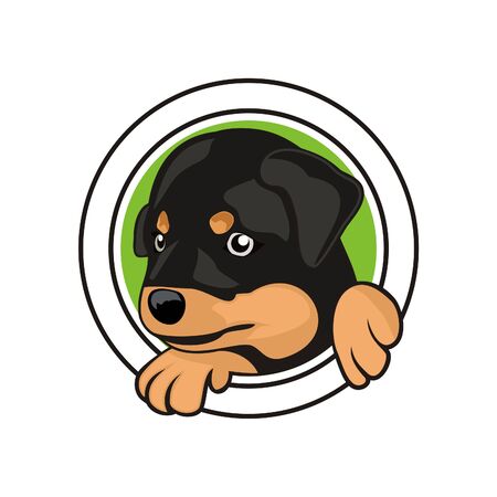 Sweety dog mascot cartoon character design vector eps formatのイラスト素材