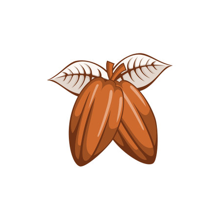 Cocoa chocolate designのイラスト素材