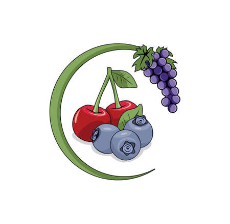 Fruits design illustration vector format , suitable for your design needs,  illustration, animation, etc.のイラスト素材