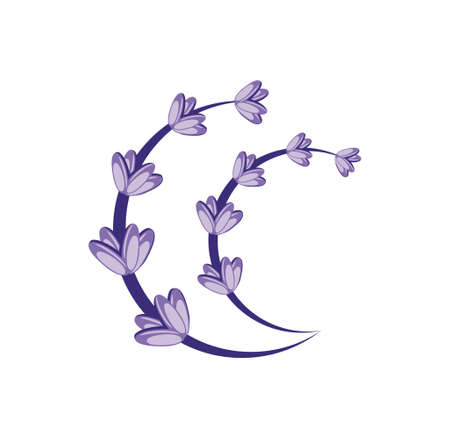 Lavender flower design illustration vector eps format , suitable for your design needs, logo, illustration, animation, etc.のイラスト素材