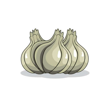 Garlic design illustration vector format , suitable for your design needs,  illustration, animation, etc.のイラスト素材