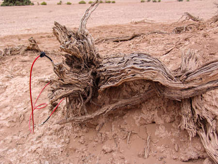 Close-up of broken and grunge texture of the arid floorの写真素材
