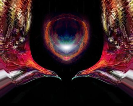 Lava Birds protecting the nestの写真素材