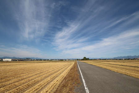 The countryside of Tamamuraの写真素材