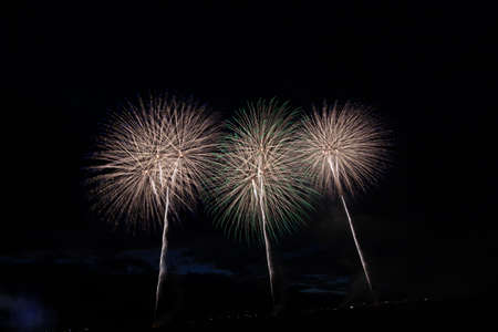 Fireworks at 2017 Yamanashi Ichikawa Daimon Shinmei