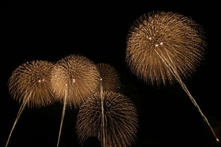 2019 Kashiwazaki fireworks displayの写真素材